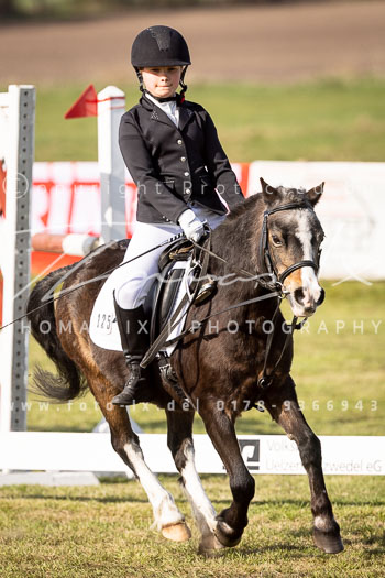 09 - Allenbostel Reiter WB Schritt Trab Galopp