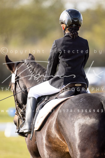 09 - Allenbostel Reiter WB Schritt Trab Galopp