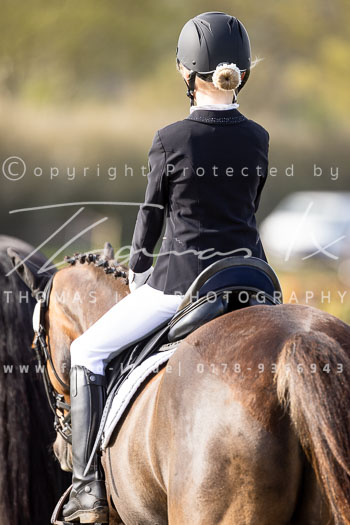 09 - Allenbostel Reiter WB Schritt Trab Galopp 09 - Allenbostel Reiter WB Schritt Trab Galopp