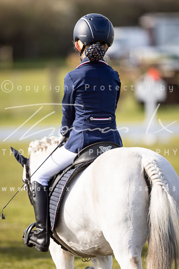 09 - Allenbostel Reiter WB Schritt Trab Galopp