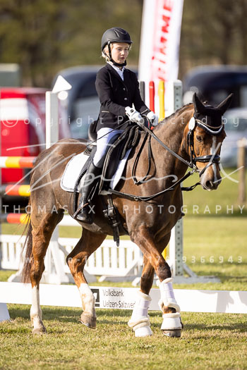 09 - Allenbostel Reiter WB Schritt Trab Galopp 09 - Allenbostel Reiter WB Schritt Trab Galopp