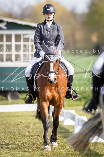 10 - Allenbostel Dressurprüfung E