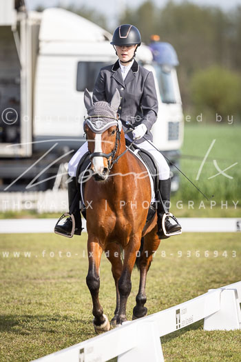 10 - Allenbostel Dressurprüfung E