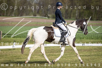 10 - Allenbostel Dressurprüfung E