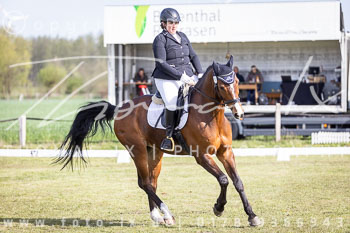 10 - Allenbostel Dressurprüfung E