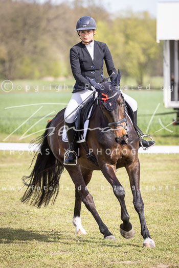 10 - Allenbostel Dressurprüfung E