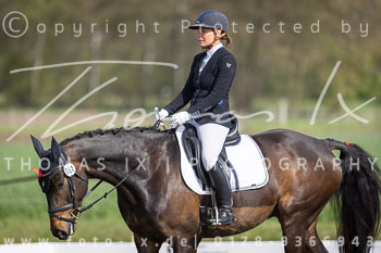 10 - Allenbostel Dressurprüfung E