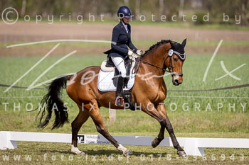 11 - Allenbostel Dressurreiterprüfung A