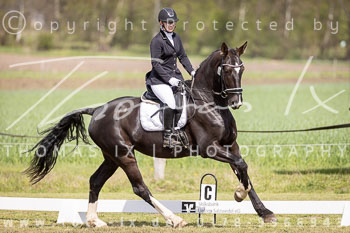 11 - Allenbostel Dressurreiterprüfung A