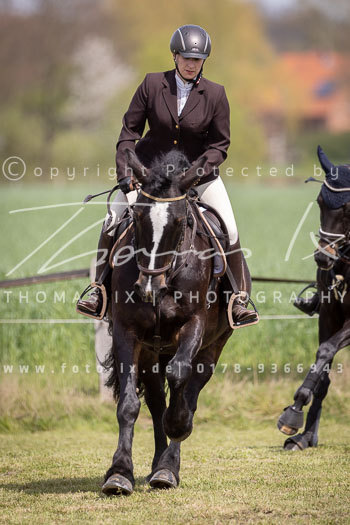 11 - Allenbostel Springreiter Wettbewerb