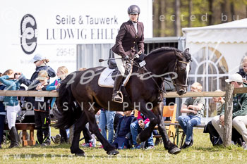 11 - Allenbostel Springreiter Wettbewerb