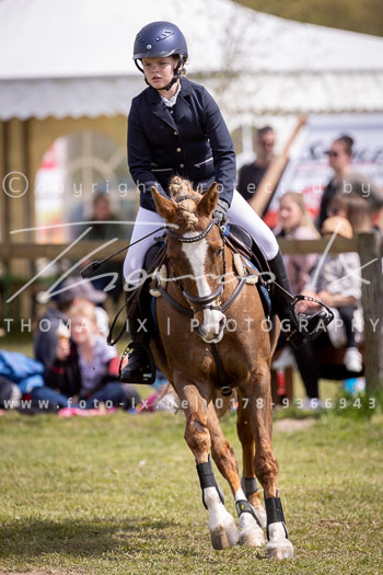 11 - Allenbostel Springreiter Wettbewerb