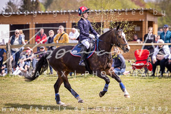 11 - Allenbostel Springreiter Wettbewerb