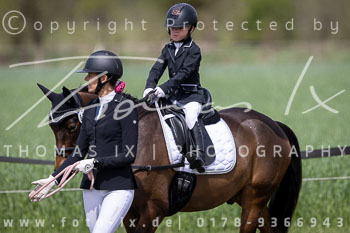 13 - Allenbostel Führzügel Wettbewerb