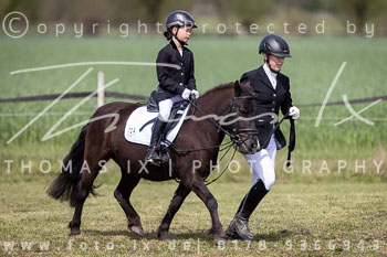 13 - Allenbostel Führzügel Wettbewerb