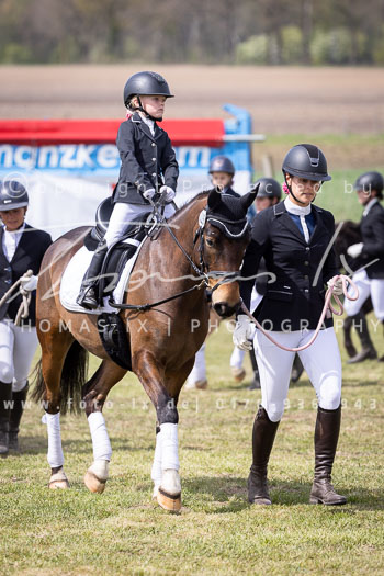 13 - Allenbostel Führzügel Wettbewerb