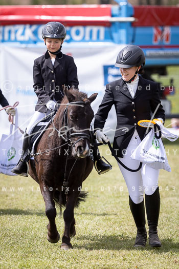 13 - Allenbostel Führzügel Wettbewerb