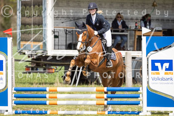 14 - Allenbostel Stilspring Wettbewerb