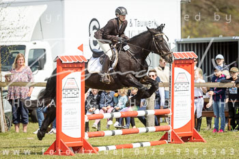 14 - Allenbostel Stilspring Wettbewerb