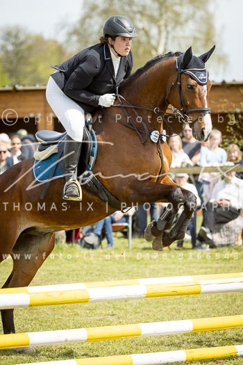 14 - Allenbostel Stilspring Wettbewerb