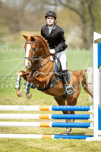 14 - Allenbostel Stilspring Wettbewerb