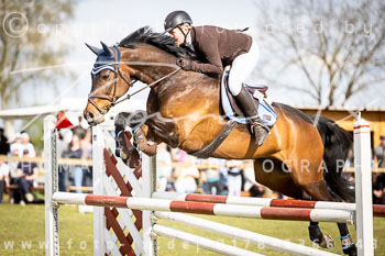 17 - Allenbostel Springprüfung L