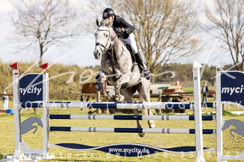 18 - Allenbostel Springprüfung M