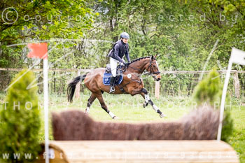 20 - Luhmühlen Geländepferdeprüfung A
