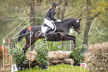 21 - Luhmühlen Stilgeländeritt E