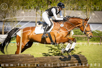 24 - Harburg Stilgeländeritt E - II. Abteilung