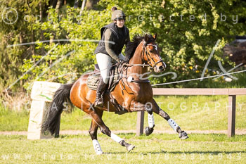 24 - Harburg Stilgeländeritt E - II. Abteilung