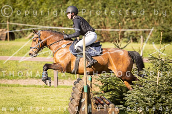 24 - Harburg Stilgeländeritt E - II. Abteilung