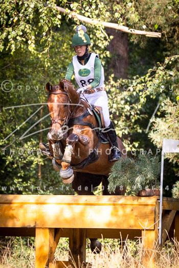 27 - Sahrendorf Gelände CCI2*
