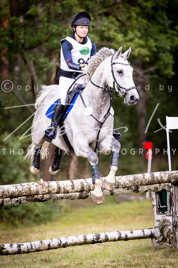 27 - Sahrendorf Gelände CCI2*
