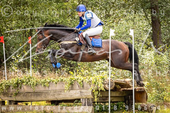 29 - Sahrendorf Gelände CCI1*-Intro