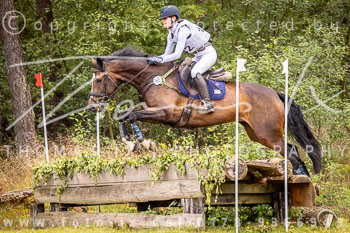 29 - Sahrendorf Gelände CCI1*-Intro