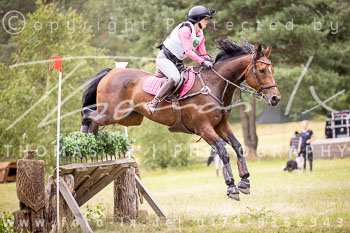 29 - Sahrendorf Gelände CCI1*-Intro