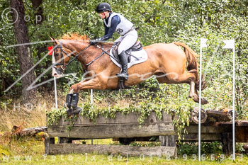 29 - Sahrendorf Gelände CCI1*-Intro 29 - Sahrendorf Gelände CCI1*-Intro