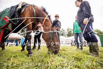 30 - Heidedistanzritt 2023