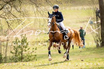 Reitsport 2026