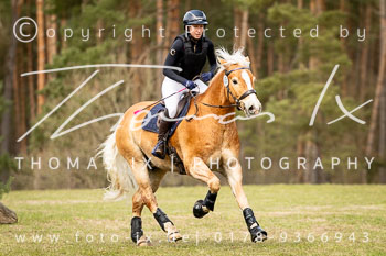 Reitsport 2026
