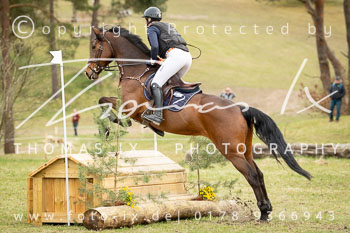 Reitsport 2026
