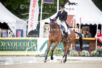 Bragg, Alexander - Zagreb Bragg, Alexander - Zagreb