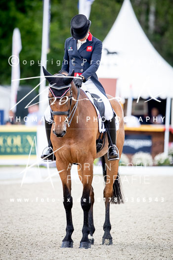 Bullimore, Sarah - Reve du Rouet