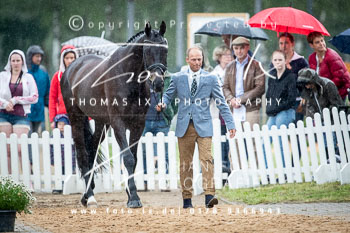 Flarup, Peter - Frankie