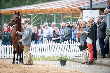 Hilton-Jones, George - Efraim Hilton-Jones, George - Efraim