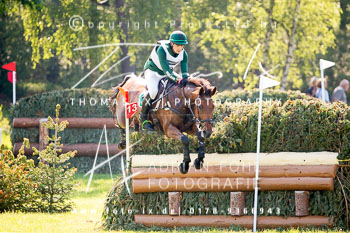 Kennedy, Tom - Westeria Lane Kennedy, Tom - Westeria Lane