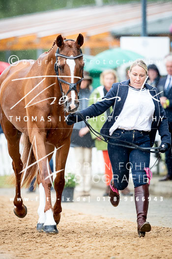 Polding, Sharon - Findonfirecracker Polding, Sharon - Findonfirecracker