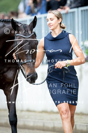 Thierot Stutes, Frances - Chatwin