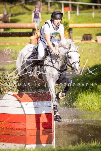08 - Luhmühlen Gelände CCI2*-L 08 - Luhmühlen Gelände CCI2*-L